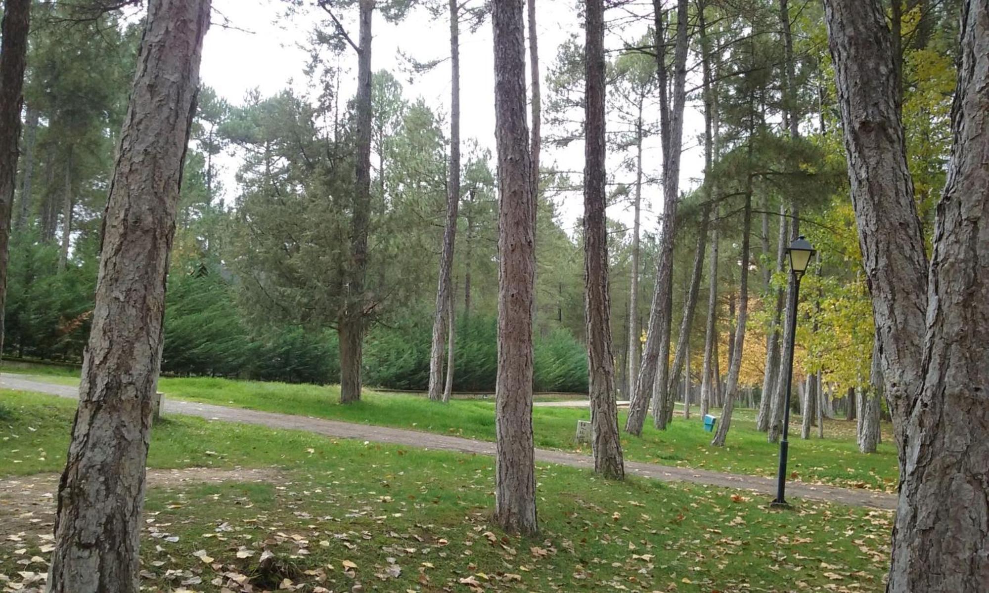 Camping Caravaning Cuenca Cuenca  Buitenkant foto